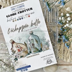 Sello HISTOIRE SOUS MARINE - Globe Trotter - Chou&Flowers