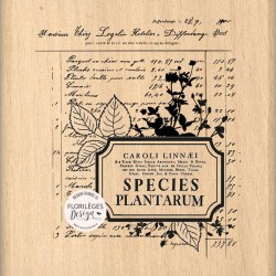 Sello de Madera COMPOSITION - Herbarium - Florilèges Design