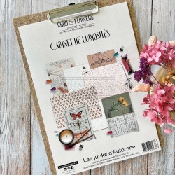Colección Junk D'AUTOMNE - Cabinet de Curiosités - Chou&Flowers