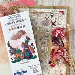 Sello Transparente PUMKIN CITY - Cabinet de Curiosités - Chou&Flowers