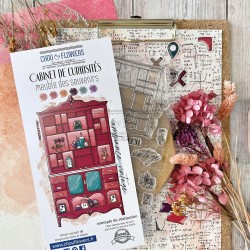 Sello Transparente MEUBLE DES SOUVENIRS - Cabinet de Curiosités - Chou&Flowers