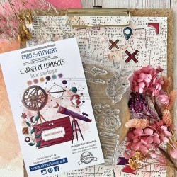 Sello Transparente BAZAR SCIENTIPHIQUE - Cabinet de Curiosités - Chou&Flowers
